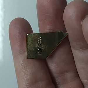 Gold plated State Nevada pin